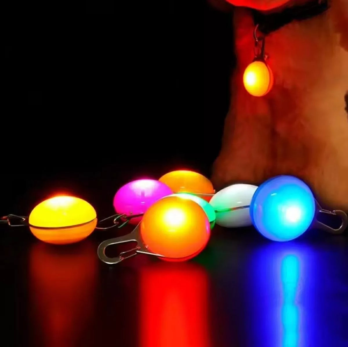 LED obojek pro domácí mazlíčky