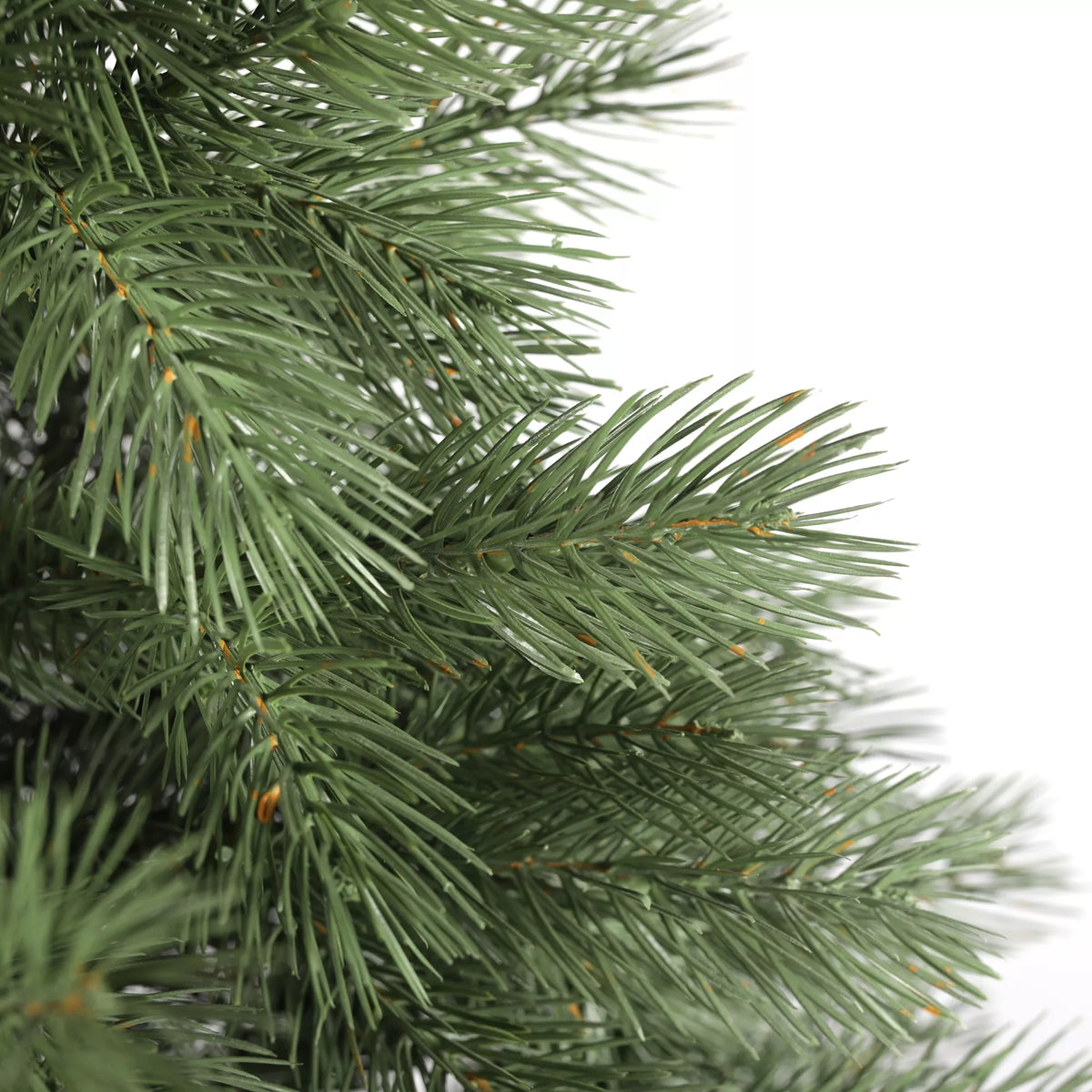 150 cm Kalėdų eglutė Sosna Himalajska Exclusive