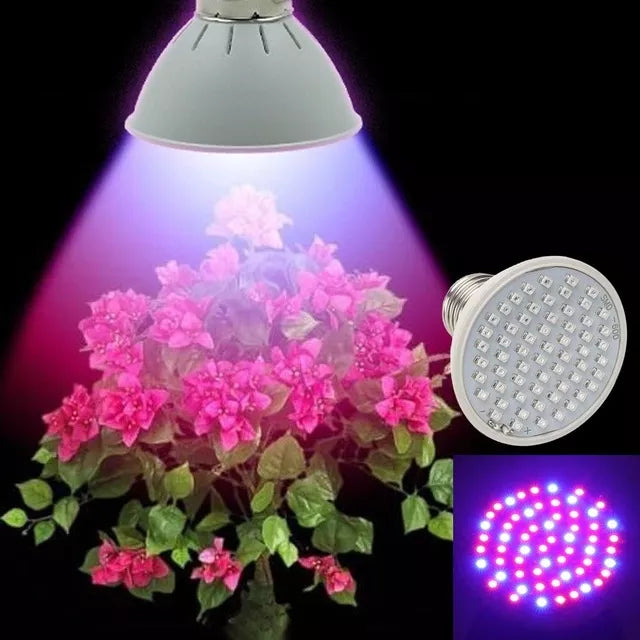 5W lampa pro pěstování rostlin