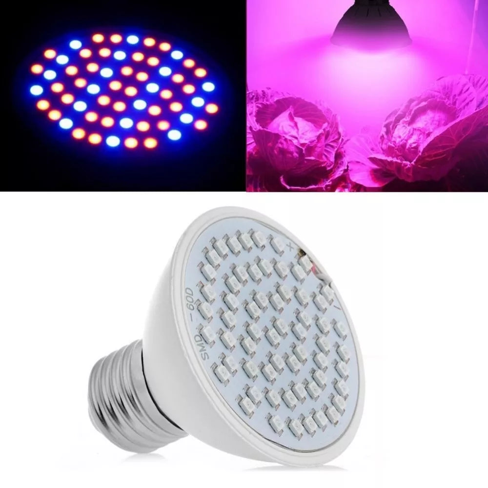 5W lampa pro pěstování rostlin