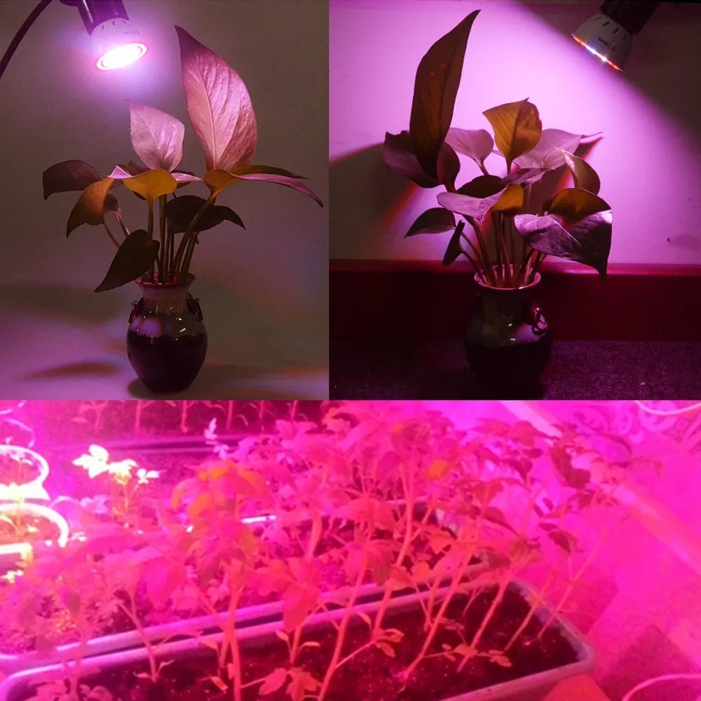5W lampa pro pěstování rostlin