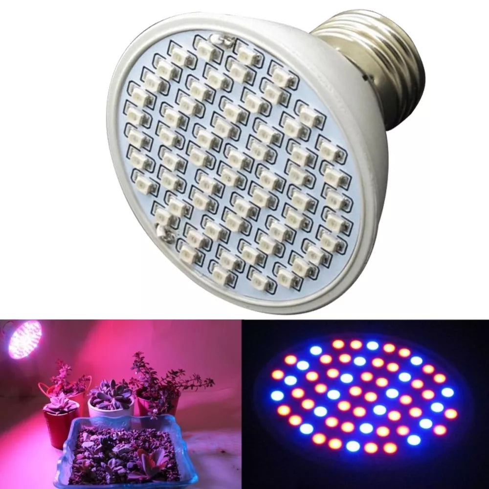 5W lampa pro pěstování rostlin