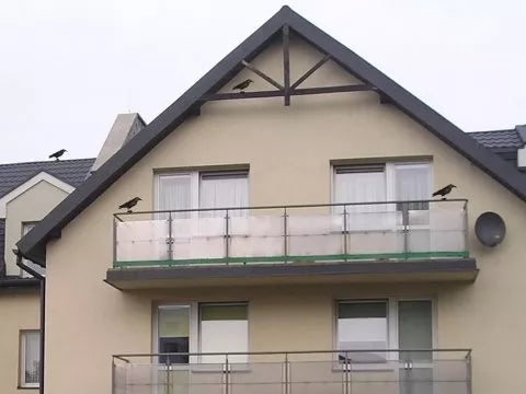 Imitace vrány (vrána)
