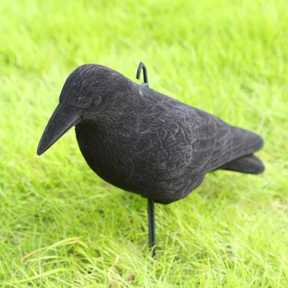 Imitace vrány (vrána)