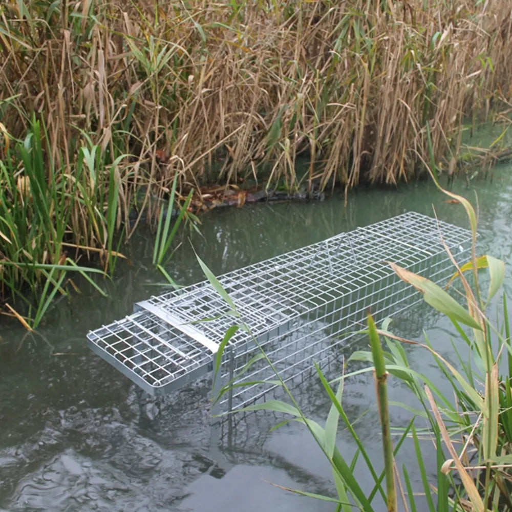 Past na škůdce/lapač 102x34x34 HARDY