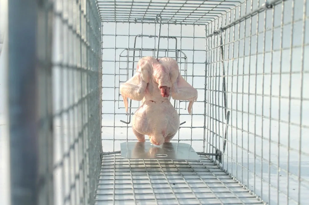 Profesionální klecová past 120x34x34 cm, dva vchody