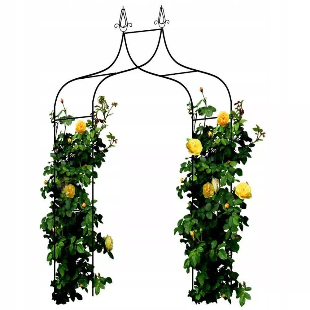 Zahradní pergola pro rostliny 150 × 37 × 240 cm, kovová, černá